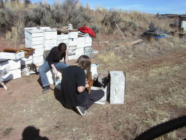 Hive work
