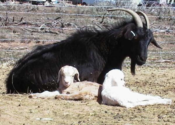 Sabrina and kids