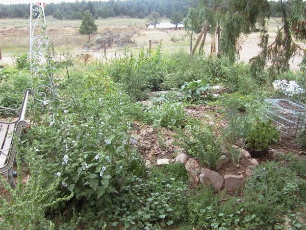 Yard Garden 07'