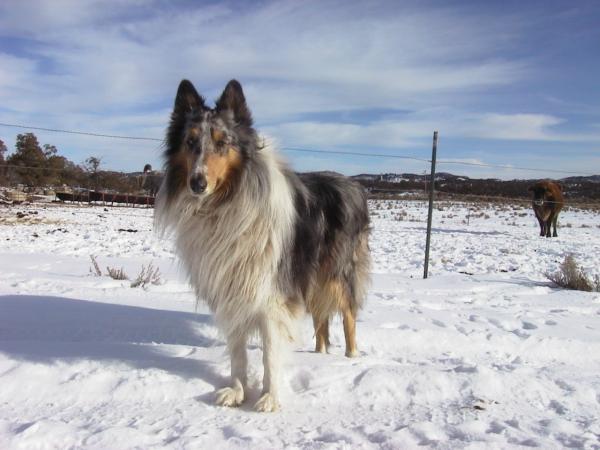 Cirrus Mcloud