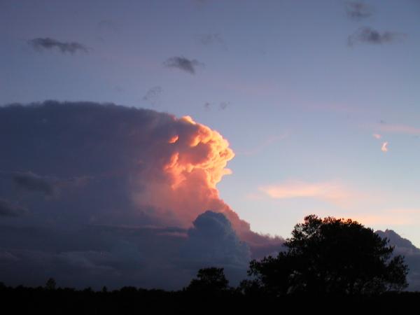 Sweet sunset