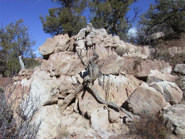 Rocks