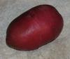 Potato