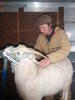 Combing Rachel