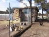 Chicken house