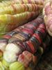 Sweet Indian Corn