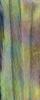 Forest Scarf Cashmere/Silk (Close Up)